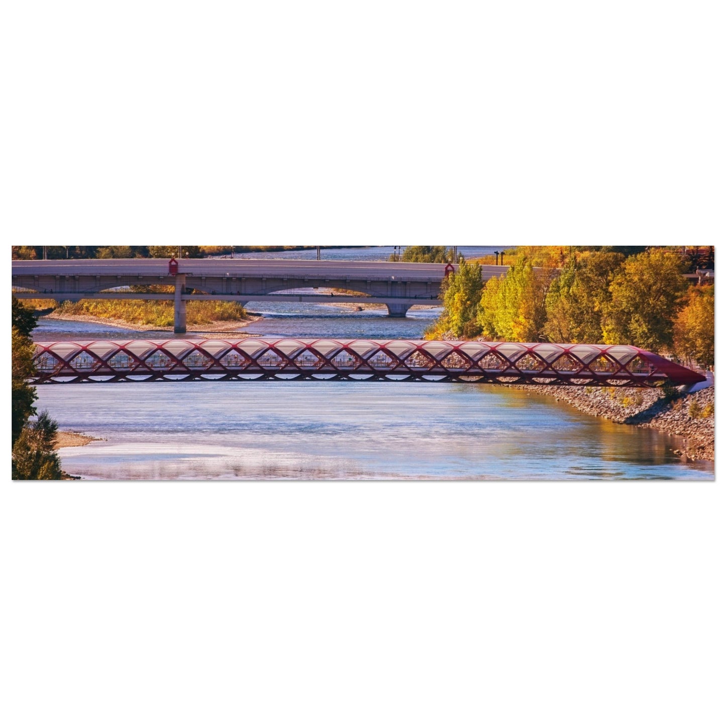 19ff2076-74e3-4103-967d-a66a0d4f3363