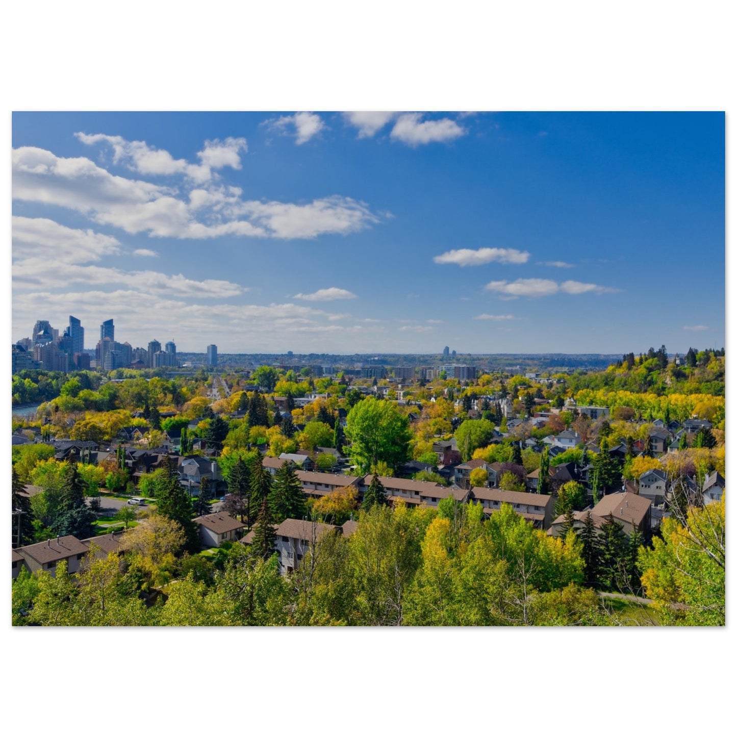 Premium Semi-Glossy Poster Print - McHugh Bluff Fall