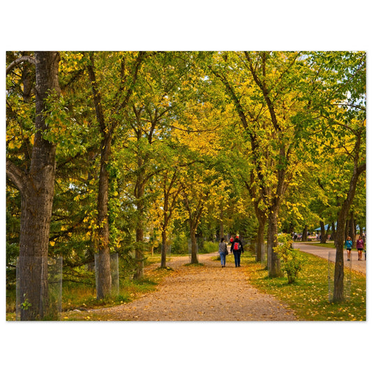 1a72cb4c-85a9-4210-9fbc-d9b1a9727947