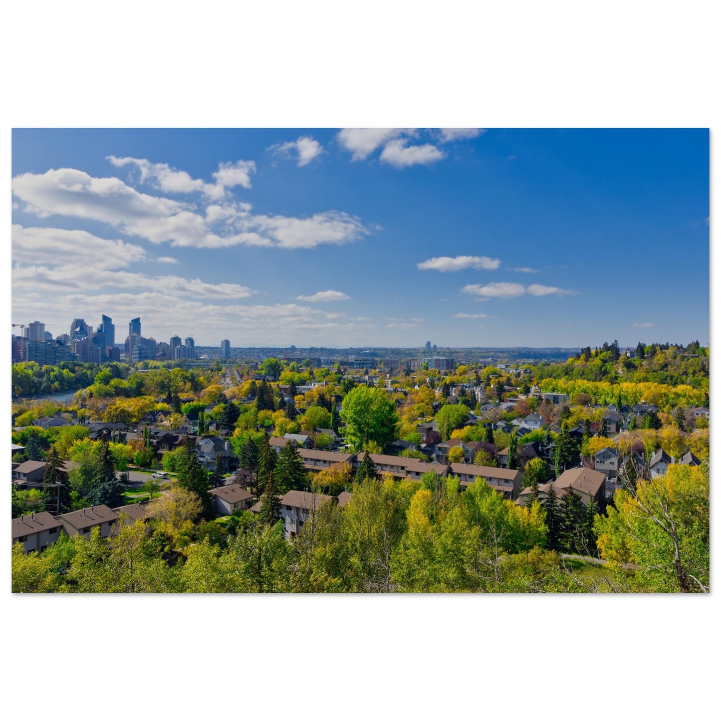 Premium Semi-Glossy Poster Print - McHugh Bluff Fall