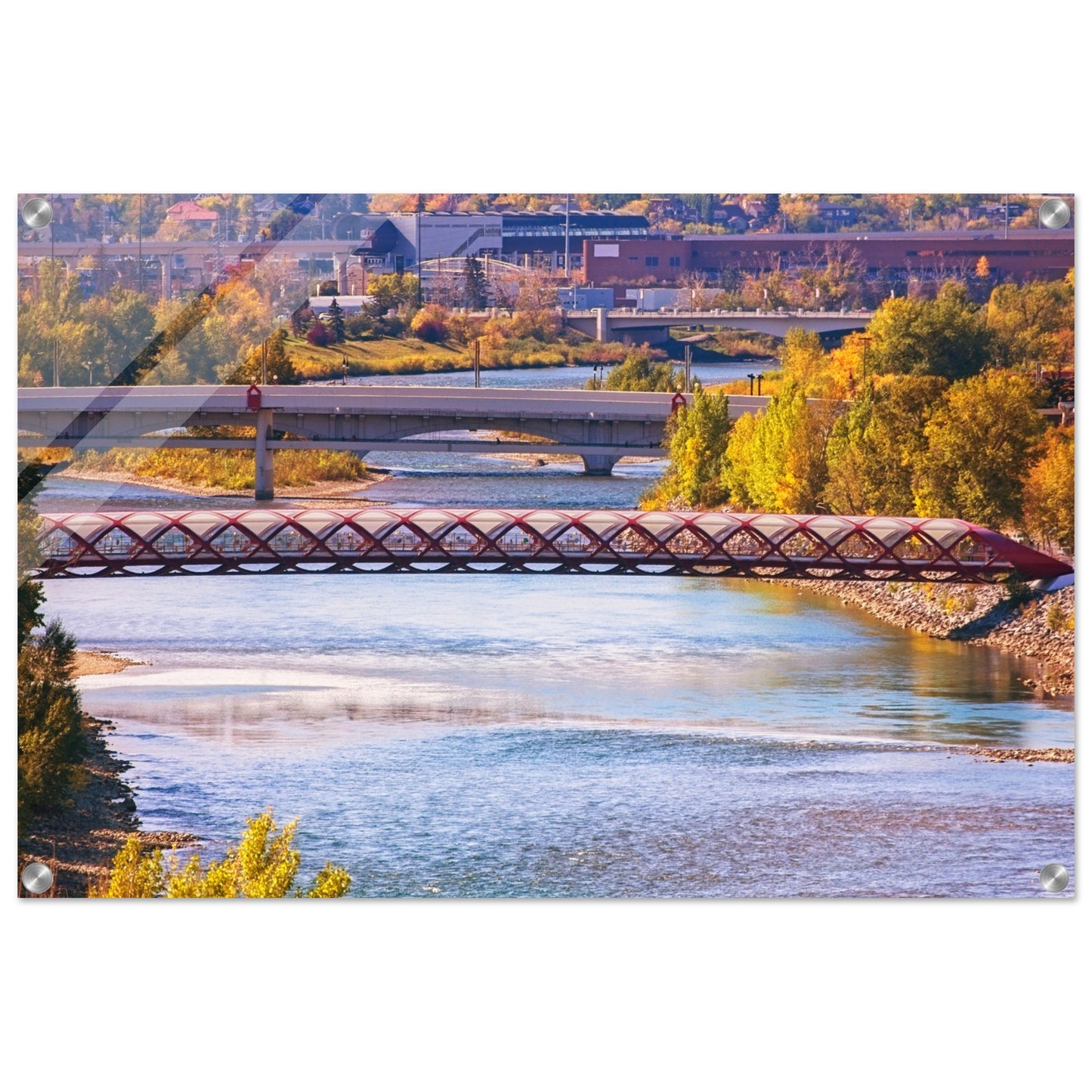 Acrylic Print - Peace Bridge McHugh Bluff Fall