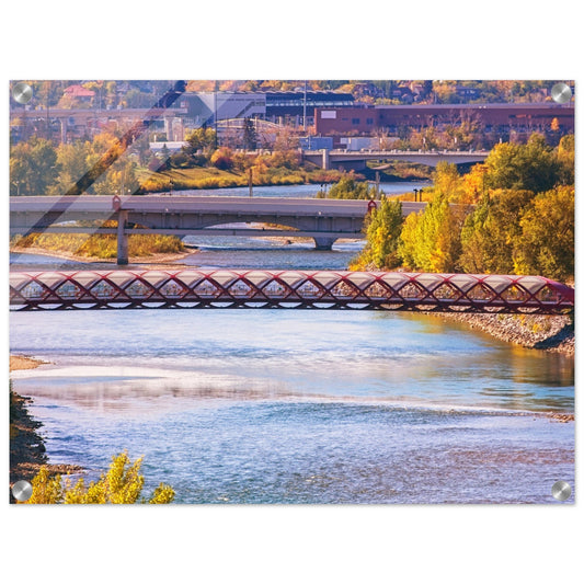 Acrylic Print - Peace Bridge McHugh Bluff Fall