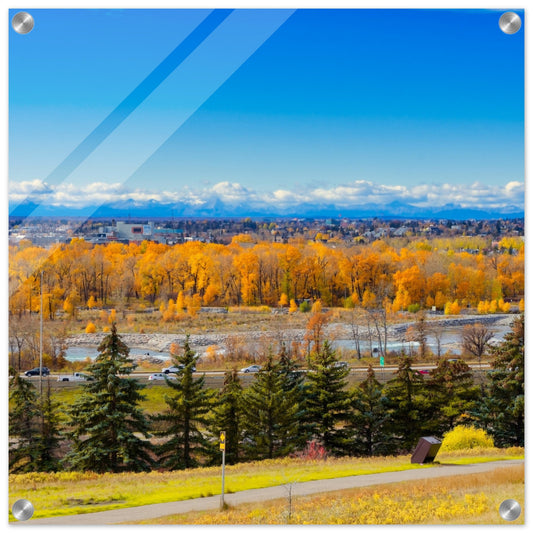 Acrylic Print - Fall Colours Max Bell Centre