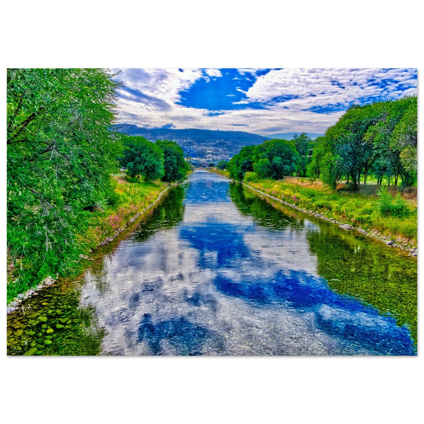 1d1a5b2a-cd2e-42c2-b552-dc90b7f2ef55