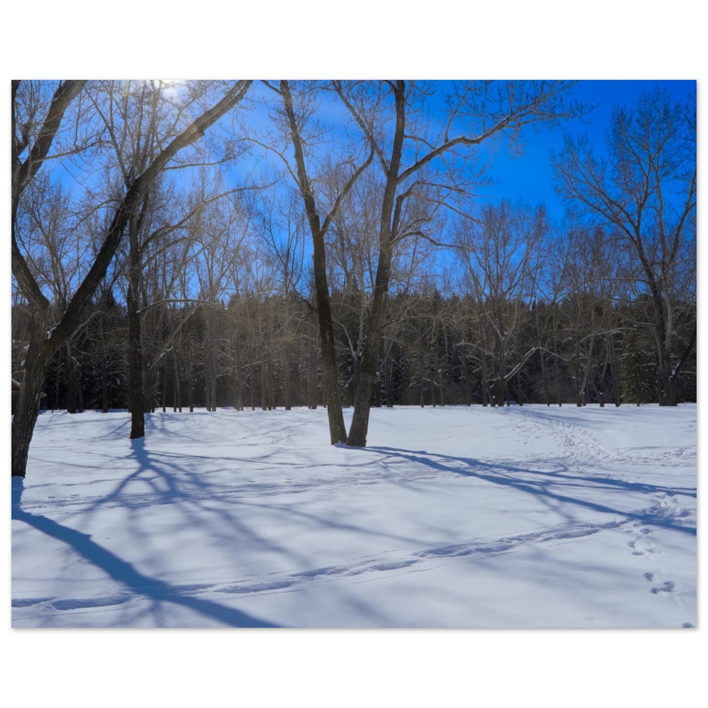 1e87052b-1914-4da7-b1fb-480fdf0c186a