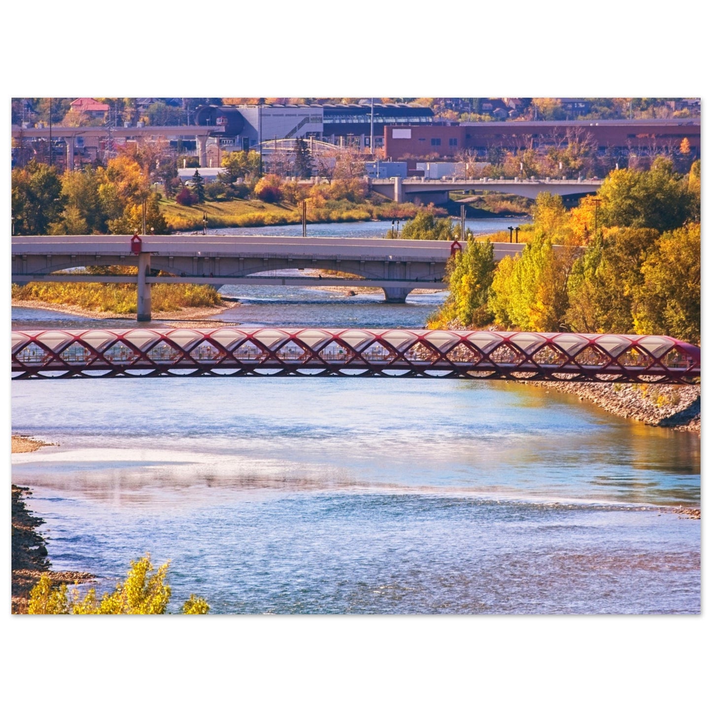 Premium Semi-Glossy Poster Print - Peace Bridge McHugh Bluff