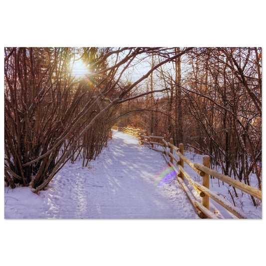 1fd2bf97-ab18-4082-99ea-096743938214