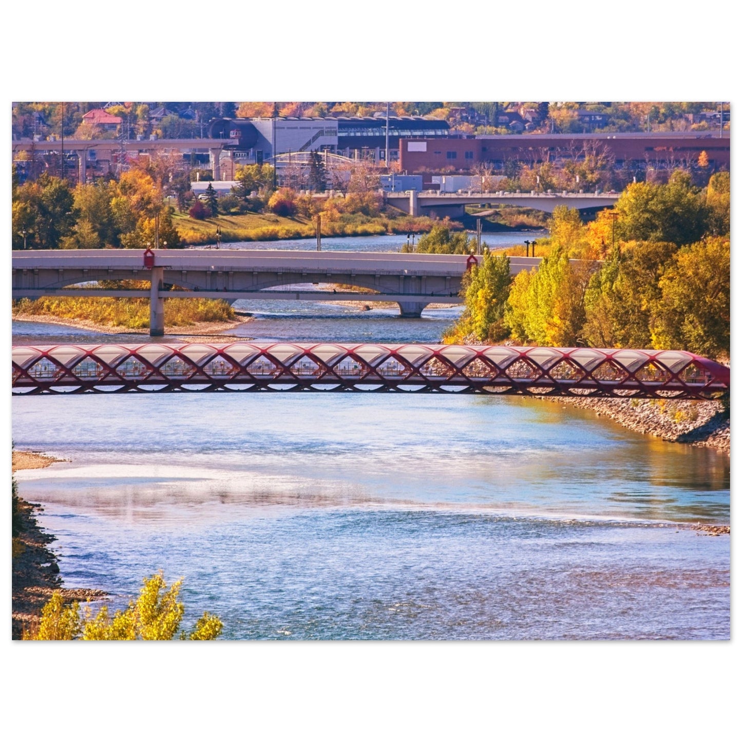 Premium Semi-Glossy Poster Print - Peace Bridge McHugh Bluff