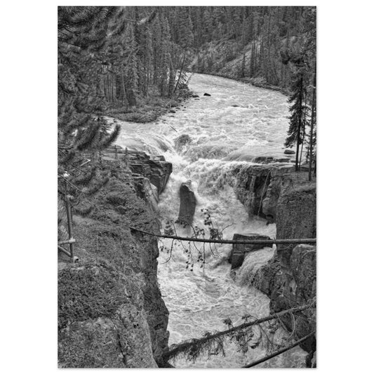 2304b85a-7e2a-4b3c-b964-29cbac8430f2