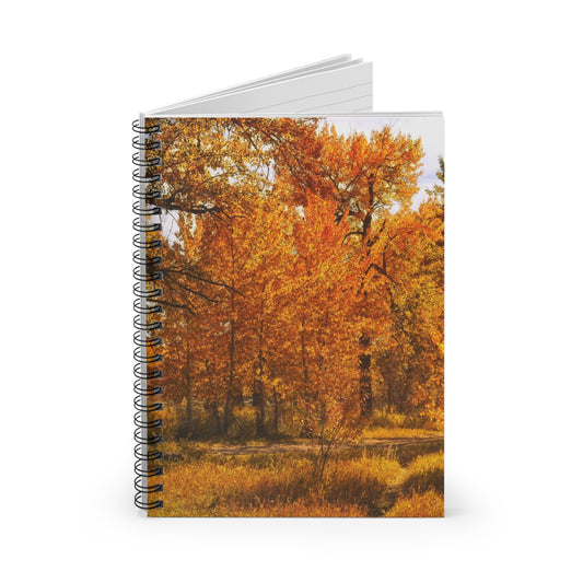 Ruled Line Spiral Notebook - Sue Higgins Park Fall Trees