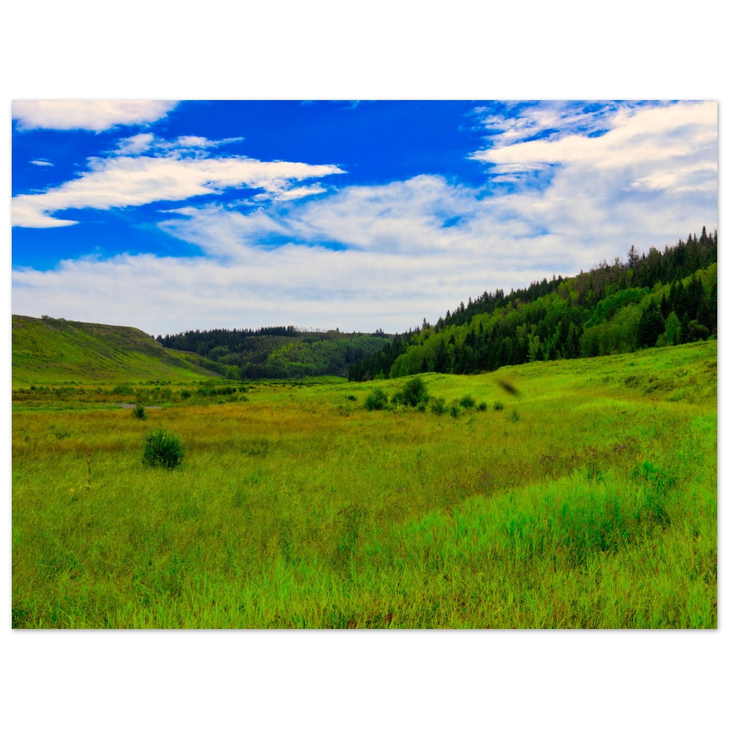 24204a4f-31fe-48d1-860b-b0fd0bc0aa28