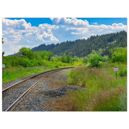 24d30d1c-20bb-49fe-bc82-966ff236c560