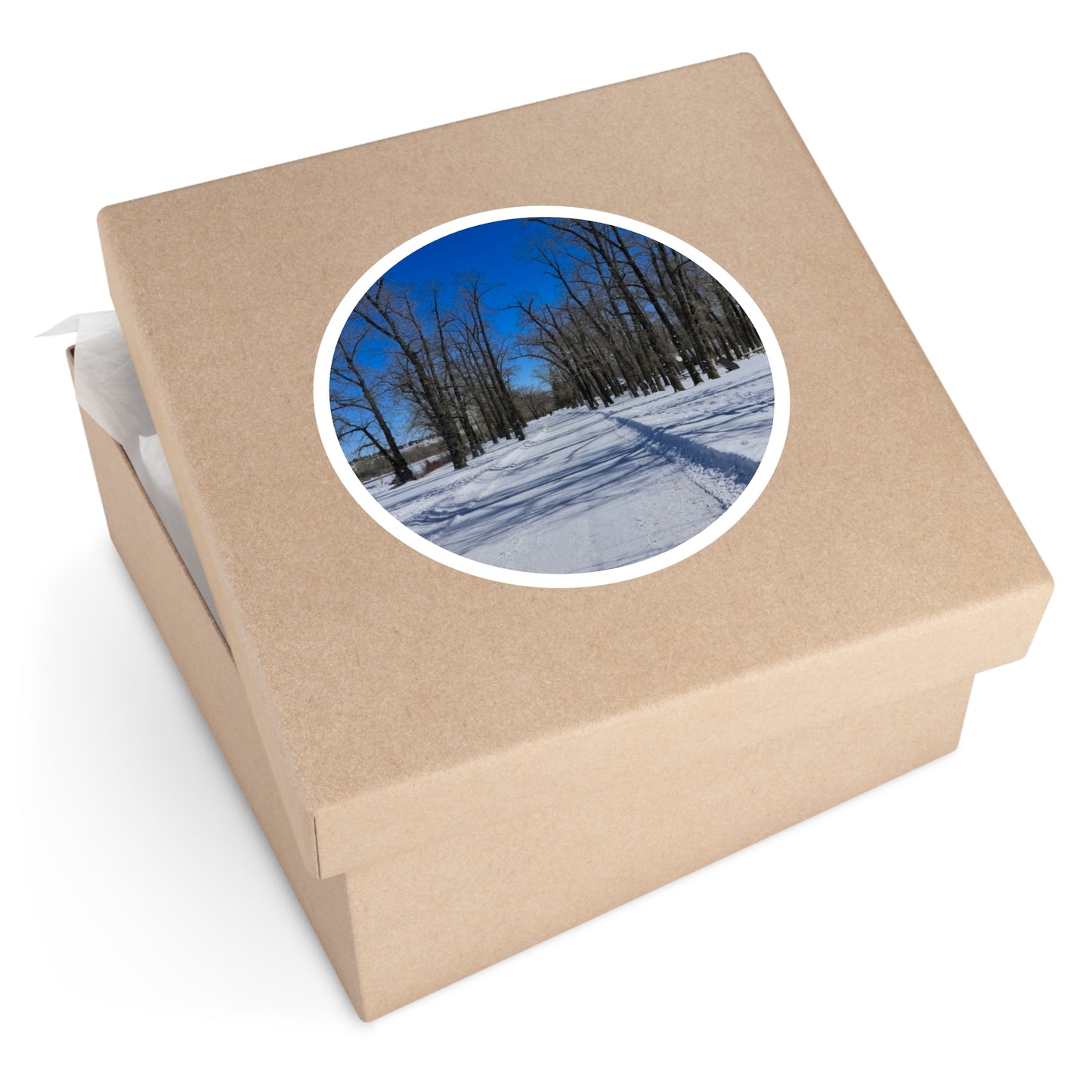 Round Stickers - Bowness Park Pathway Winter