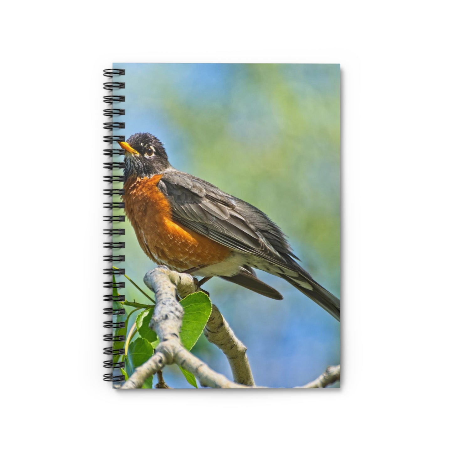 Ruled Line Spiral Notebook - Carburn Park Bird
