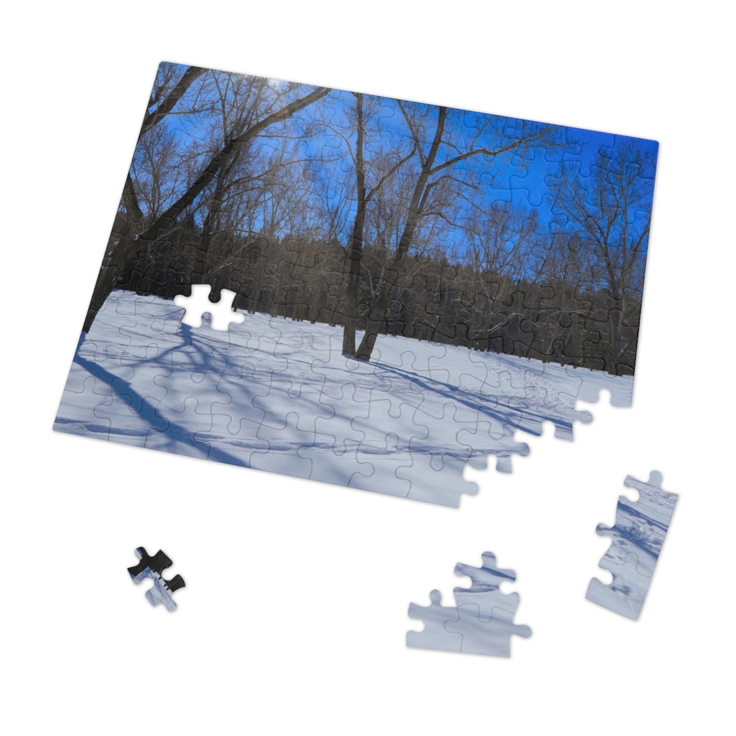 Jigsaw Puzzle (30, 110, 252, 500,1000-Piece) - Bowness Park Field Winter