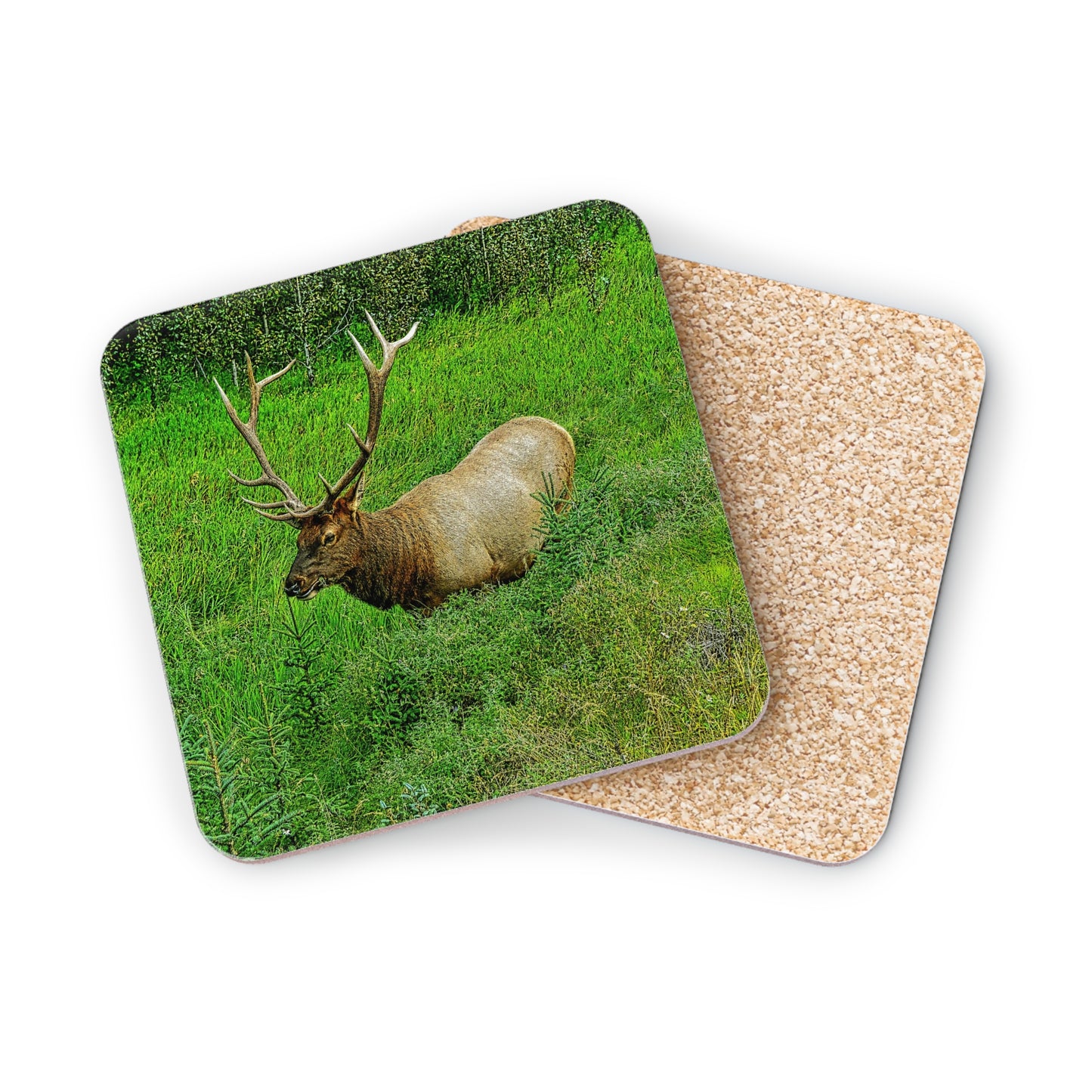 Coasters - Miette River Elk