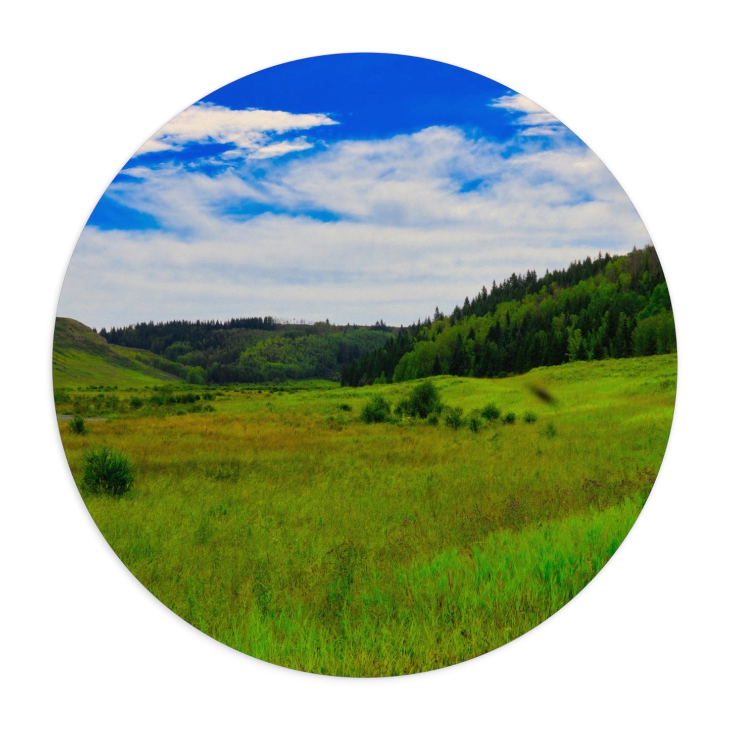 Round Mousepad - Big Hill Springs Park Entrance