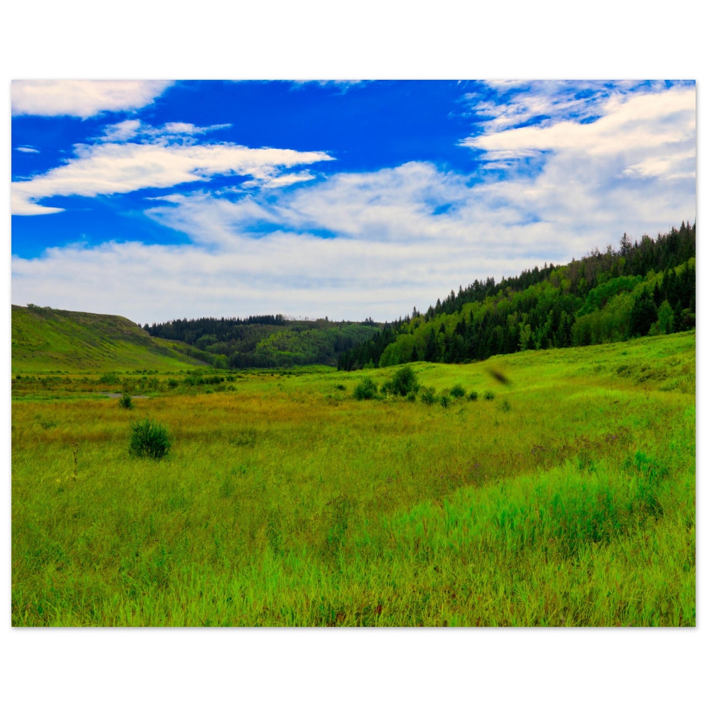 2894ee09-bb17-4c76-840c-91361e42b884