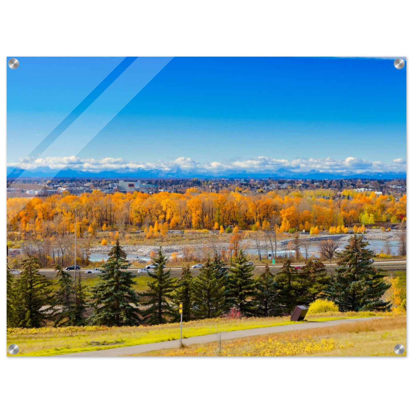 Acrylic Print - Fall Colours Max Bell Centre