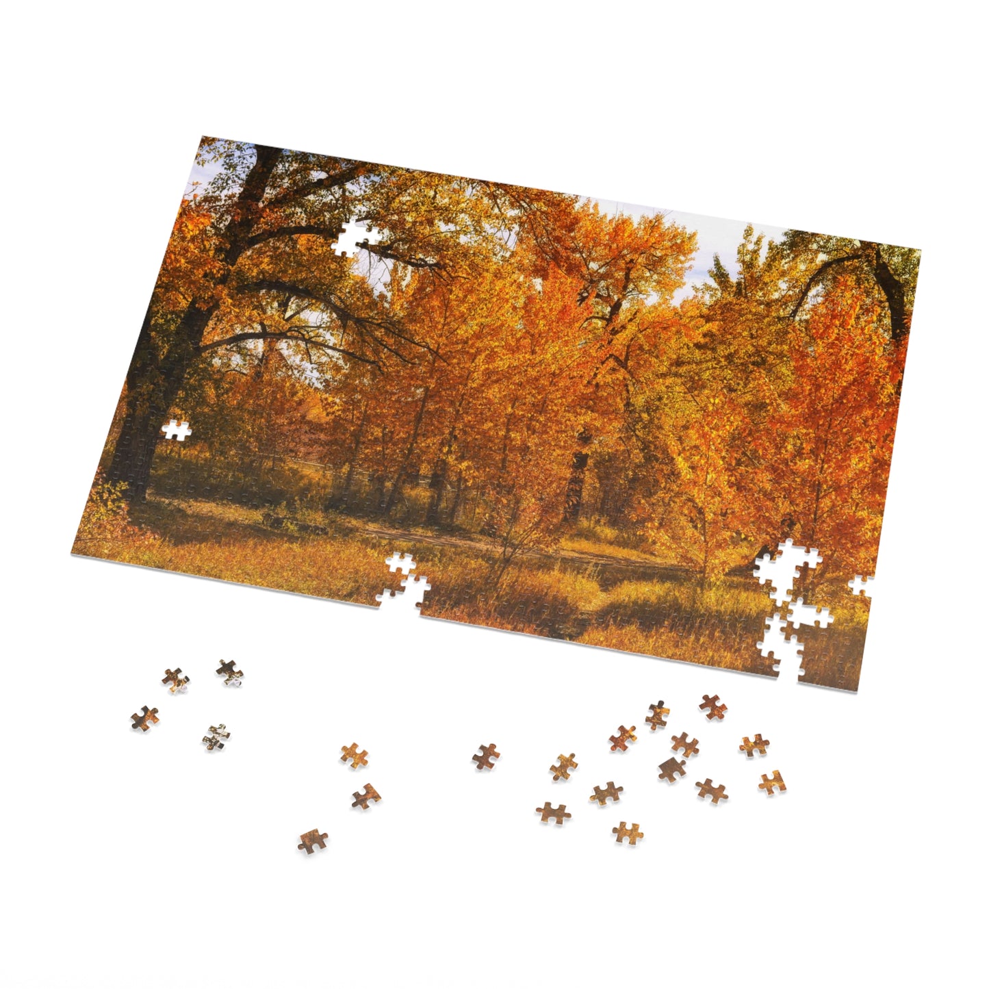 Jigsaw Puzzle (30, 110, 252, 500,1000-Piece) - Sue Higgins Park Fall Trees
