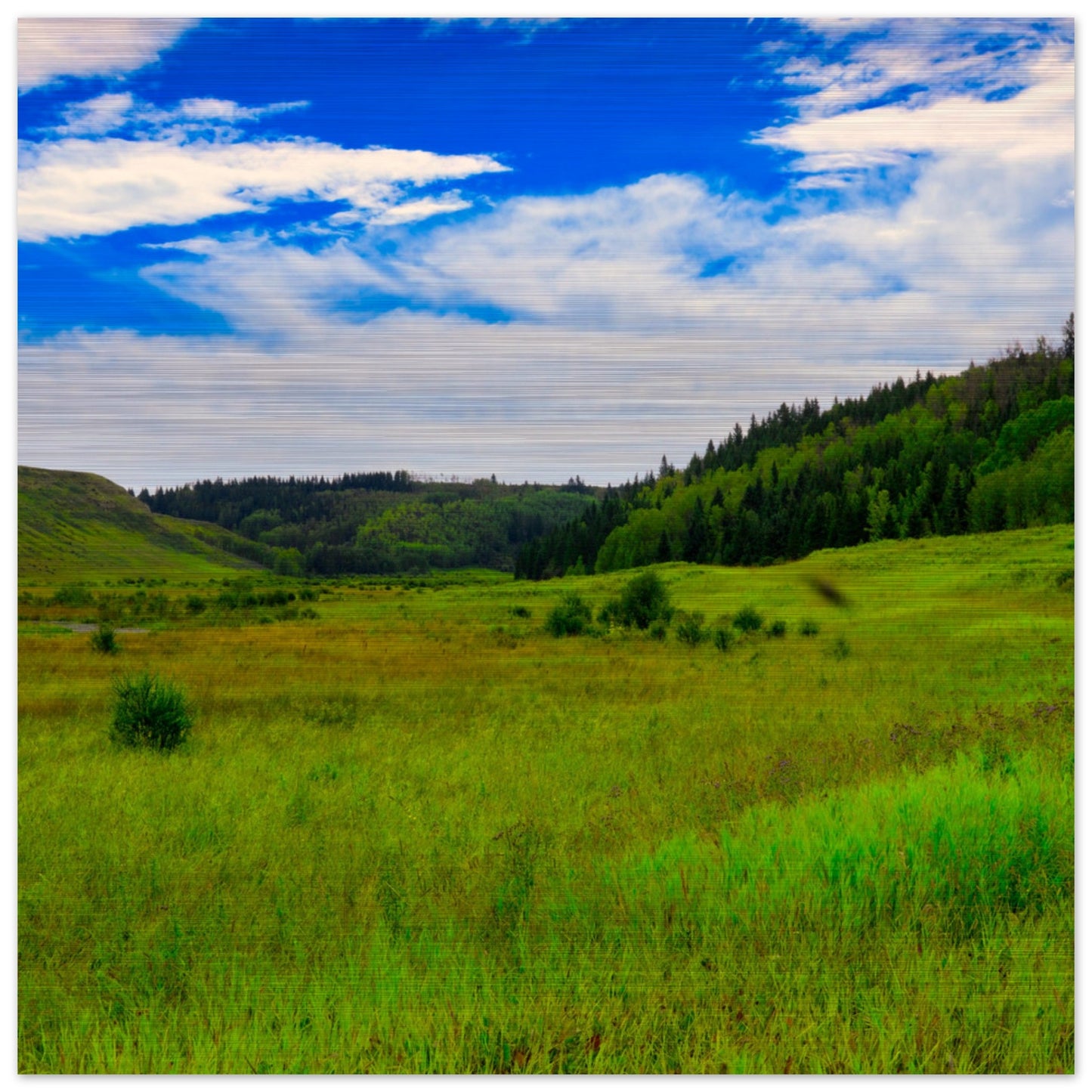 29482403-35f9-4add-a039-40d3077ea449
