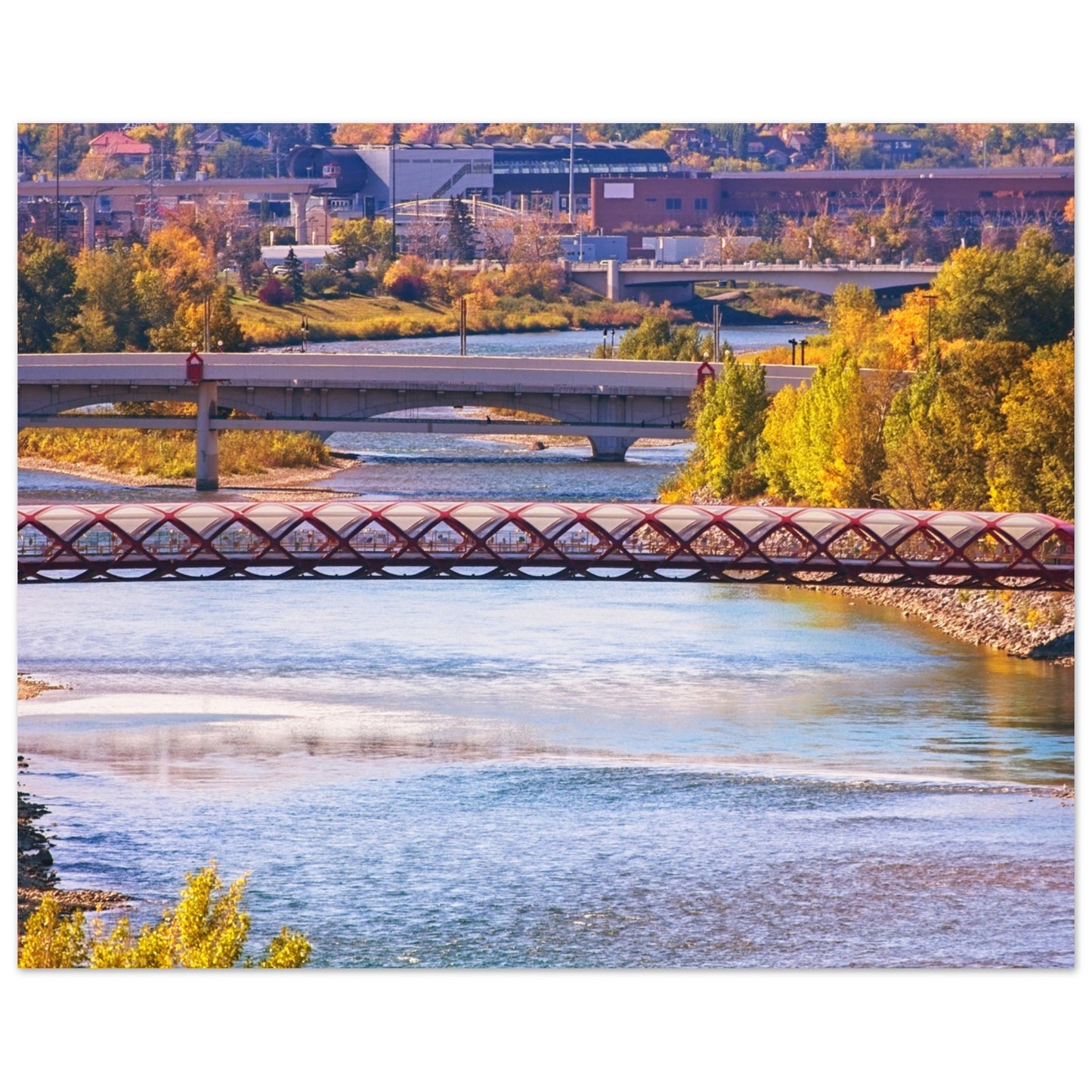 Premium Semi-Glossy Poster Print - Peace Bridge McHugh Bluff