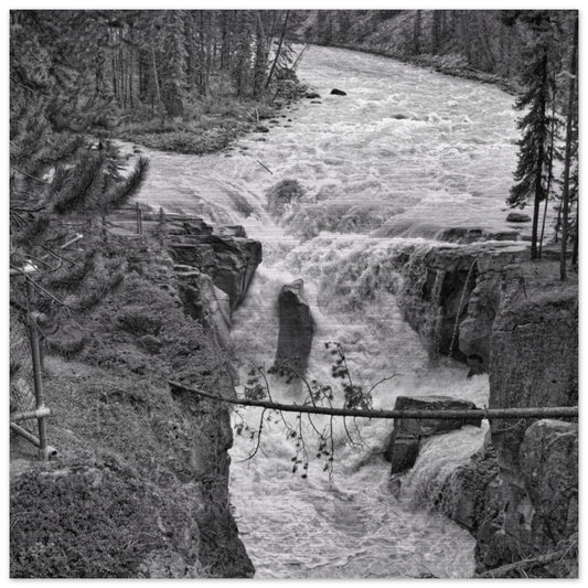 2d4a781e-5a08-4e28-ada1-a3789ea88e55