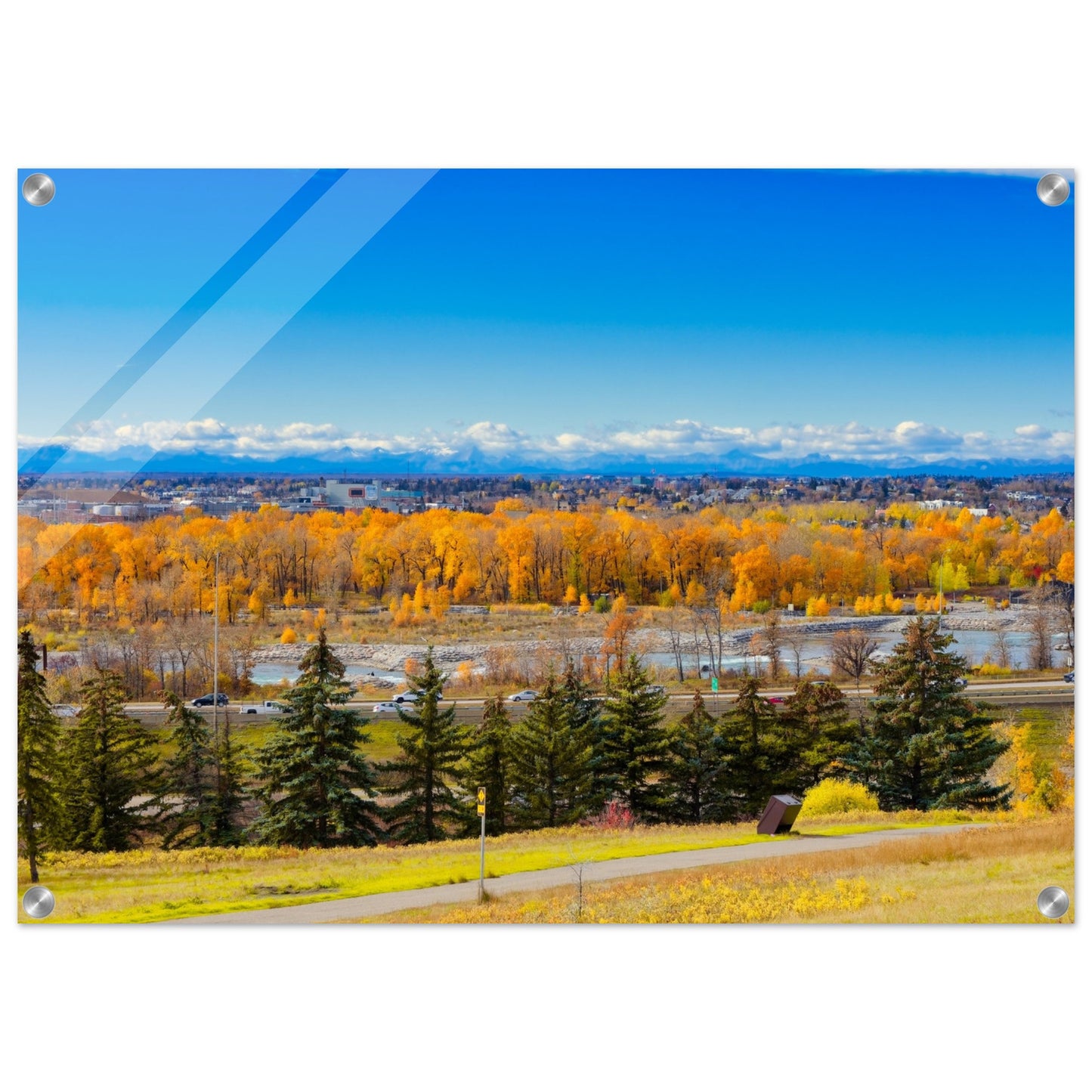 Acrylic Print - Fall Colours Max Bell Centre