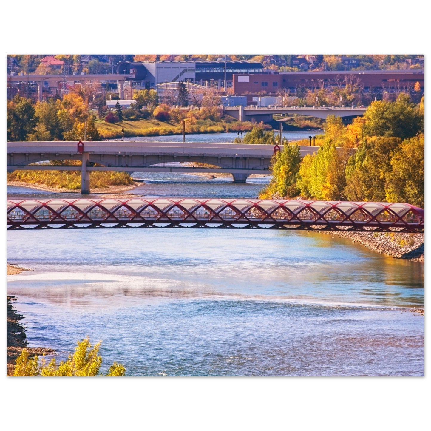 Premium Semi-Glossy Poster Print - Peace Bridge McHugh Bluff