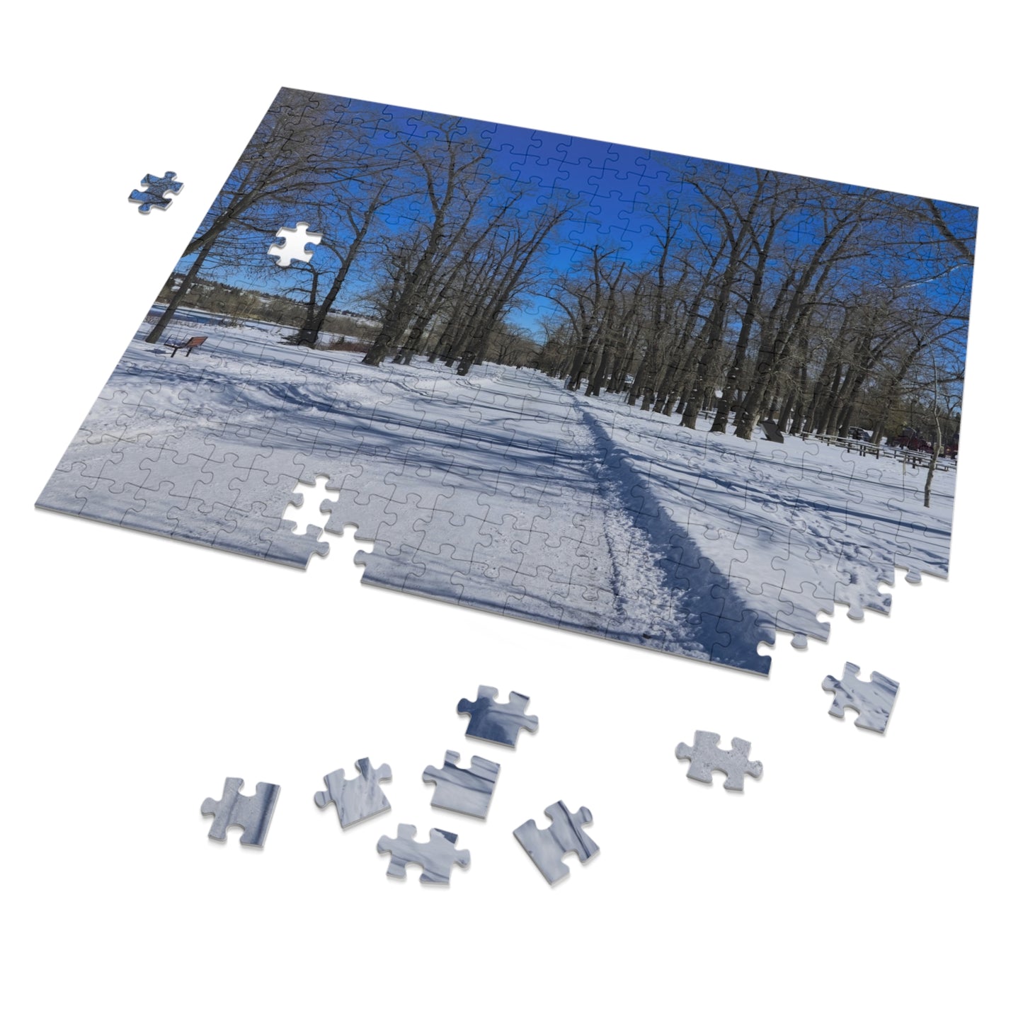 Jigsaw Puzzle (30, 110, 252, 500,1000-Piece) - Bowness Park Pathway Winter