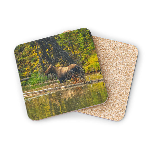 Coasters - Moose Lake Moose