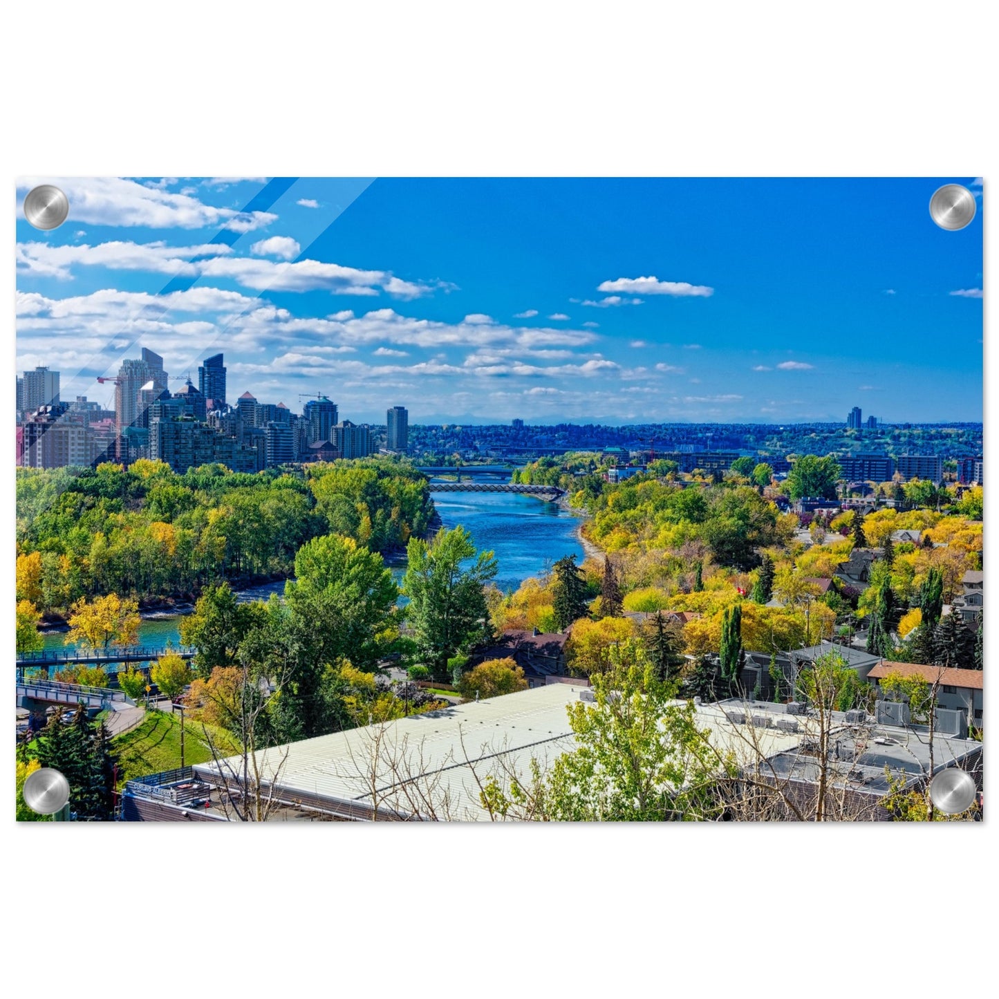 Acrylic Print - Bow River Peace Bridge McHugh Bluff HDR