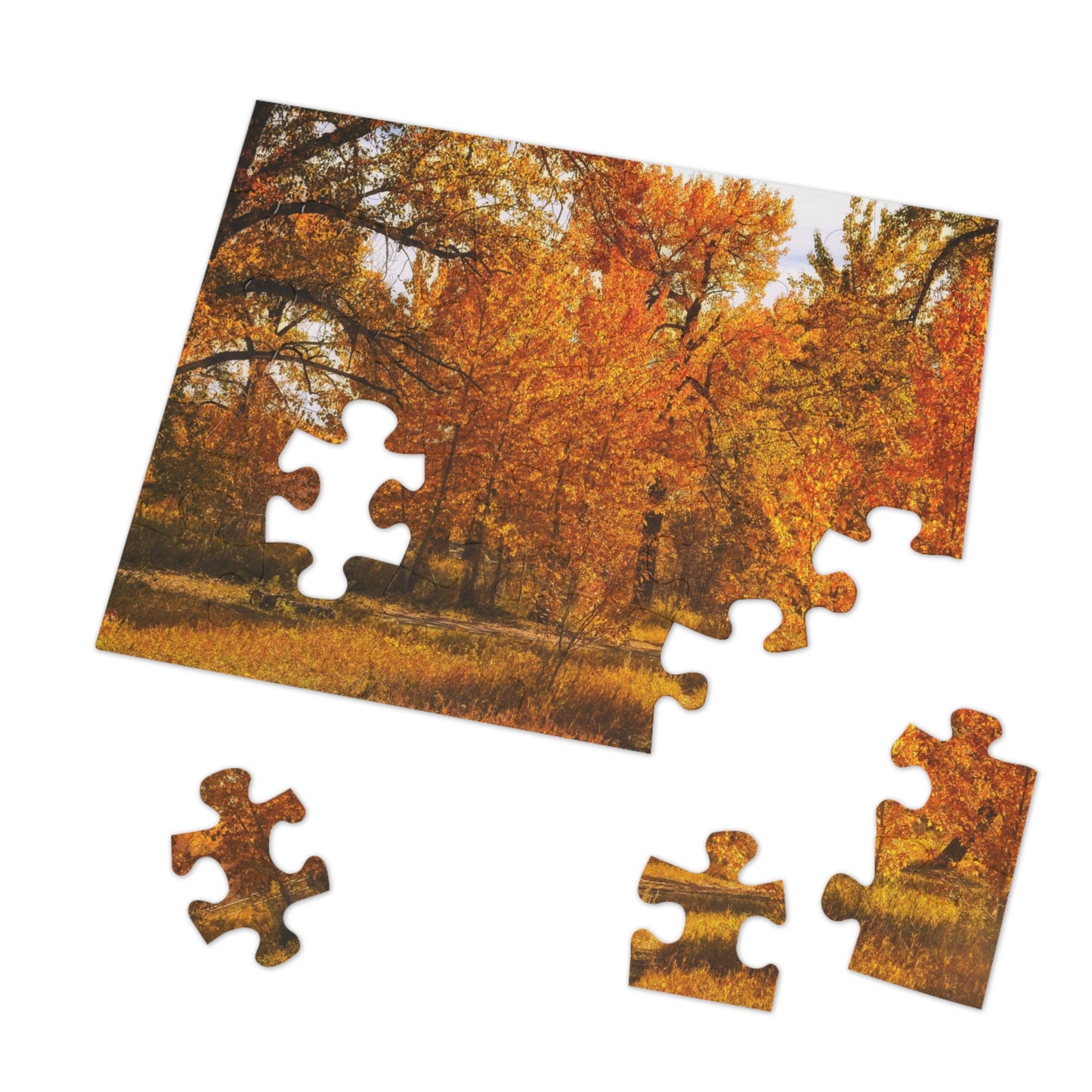 Jigsaw Puzzle (30, 110, 252, 500,1000-Piece) - Sue Higgins Park Fall Trees