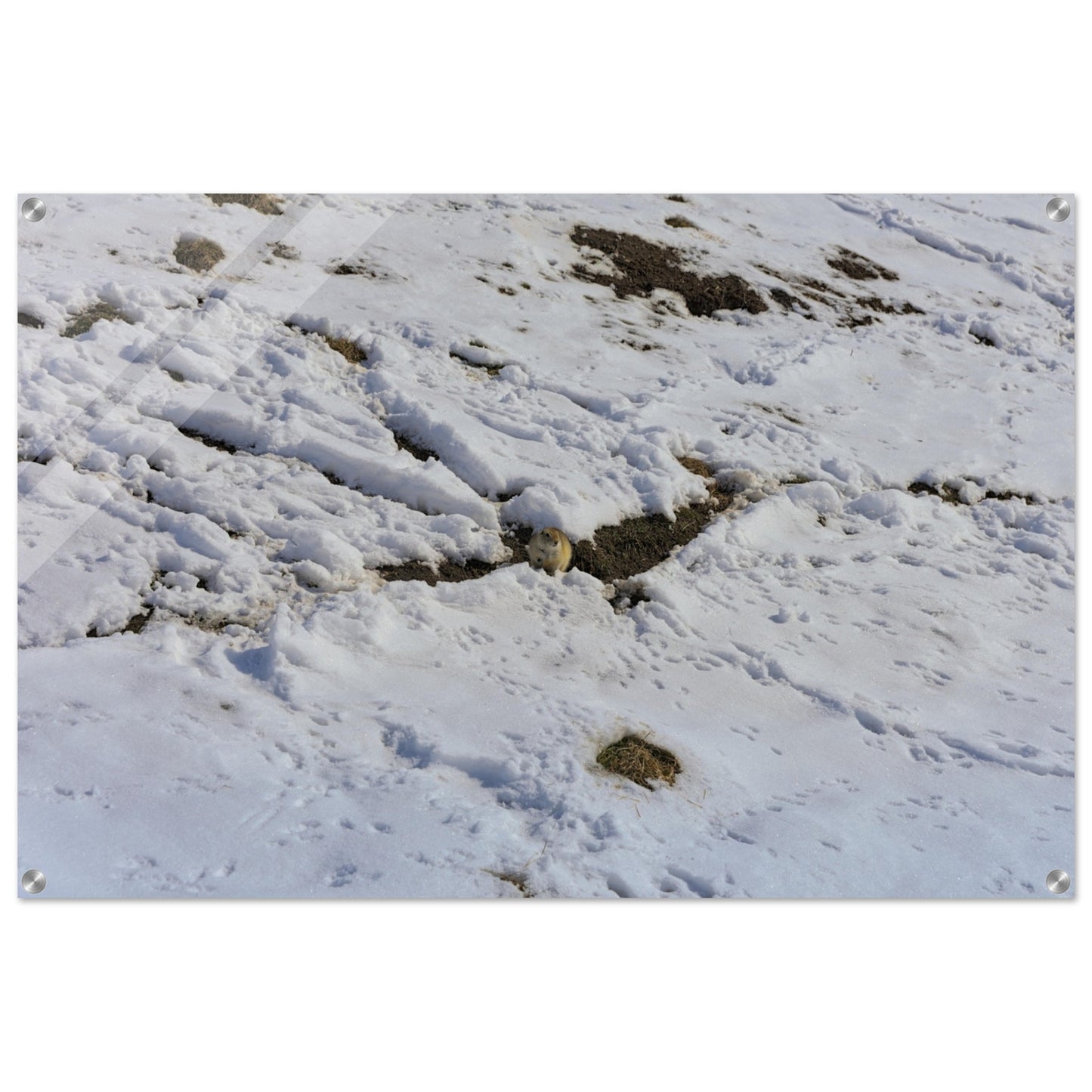32115ccb-c2c1-4661-a2b5-ed180ffd0552