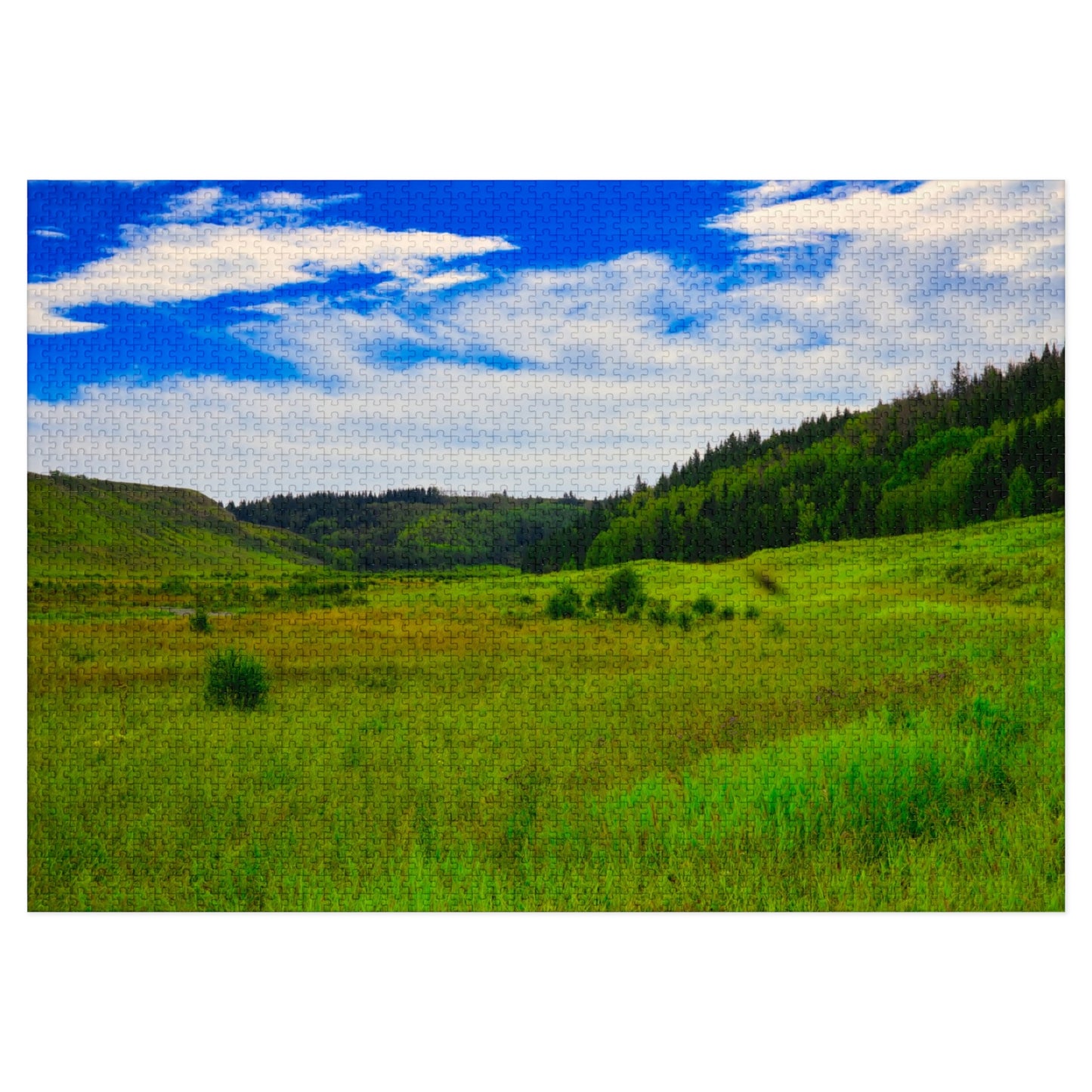 Jigsaw Puzzle - Big Hill Springs Park Entrance