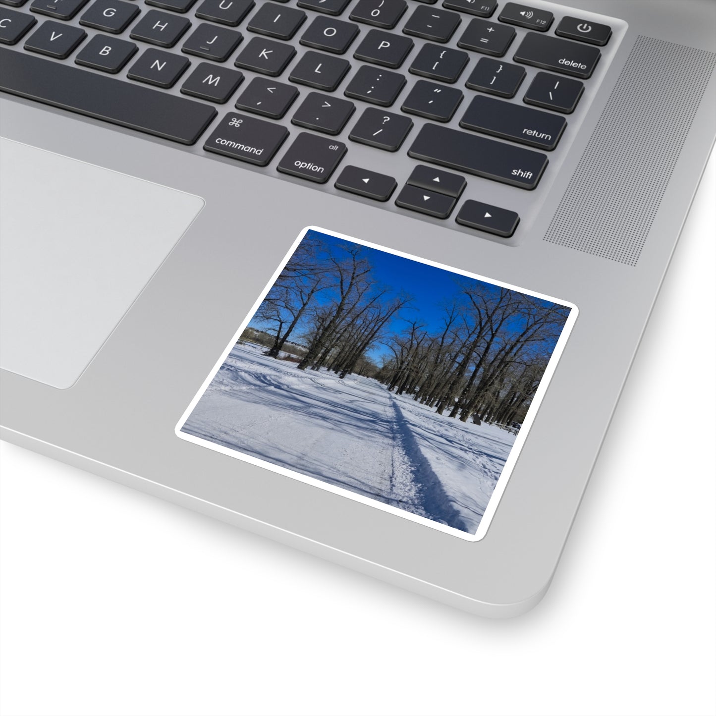 Square Stickers - Bowness Park Pathway Winter