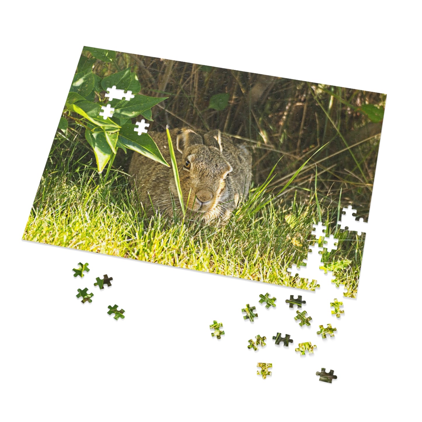 Jigsaw Puzzle (30, 110, 252, 500,1000-Piece) - Rabbit