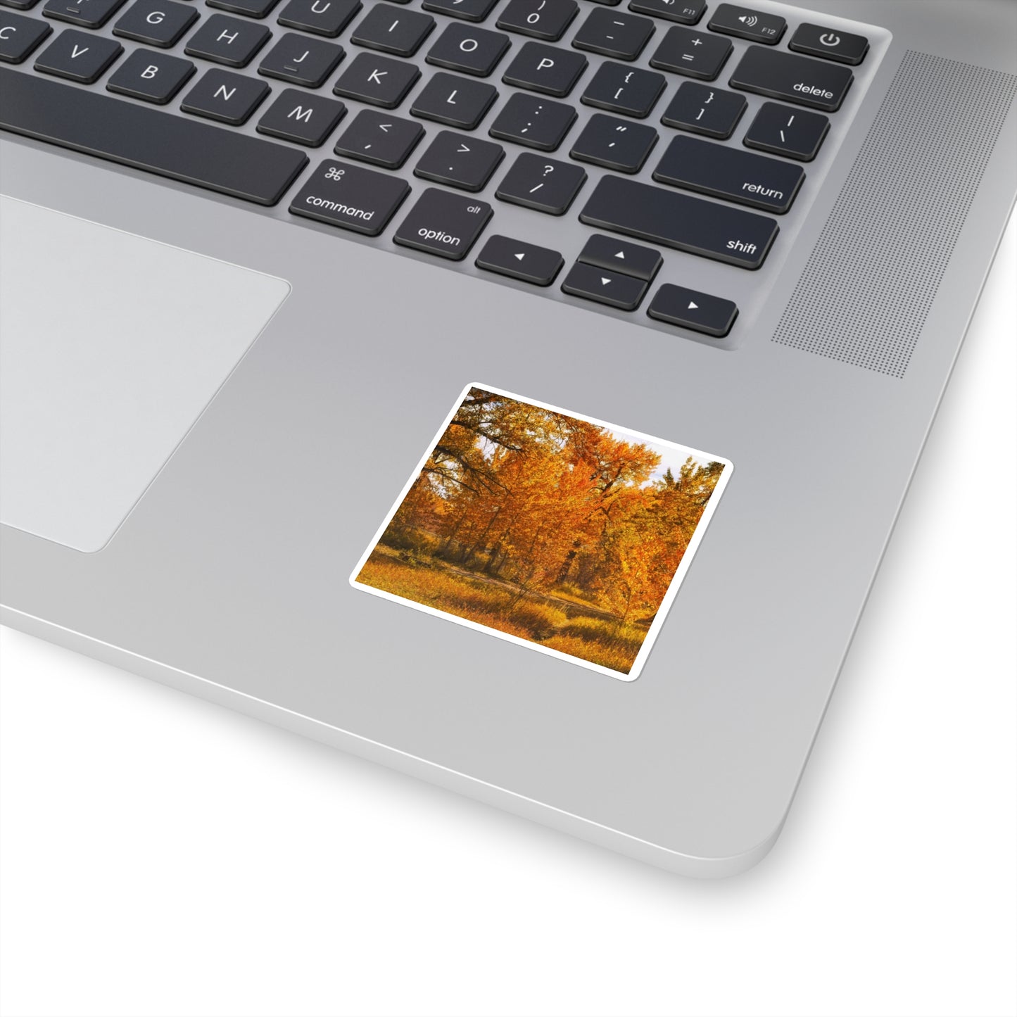 Square Stickers - Sue Higgins Park Fall Colours