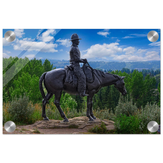 345d918a-9013-4942-b522-5bc34442837b