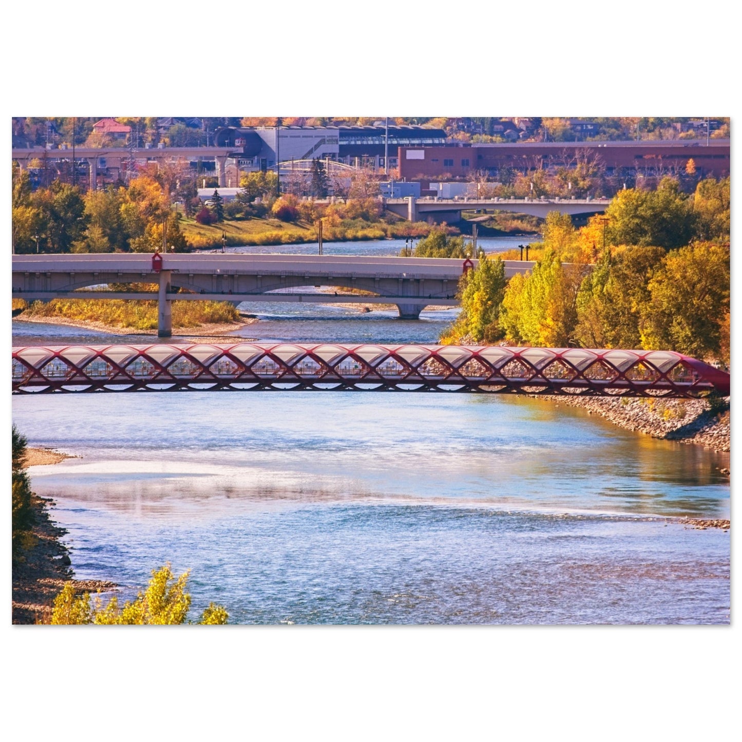 Premium Semi-Glossy Poster Print - Peace Bridge McHugh Bluff