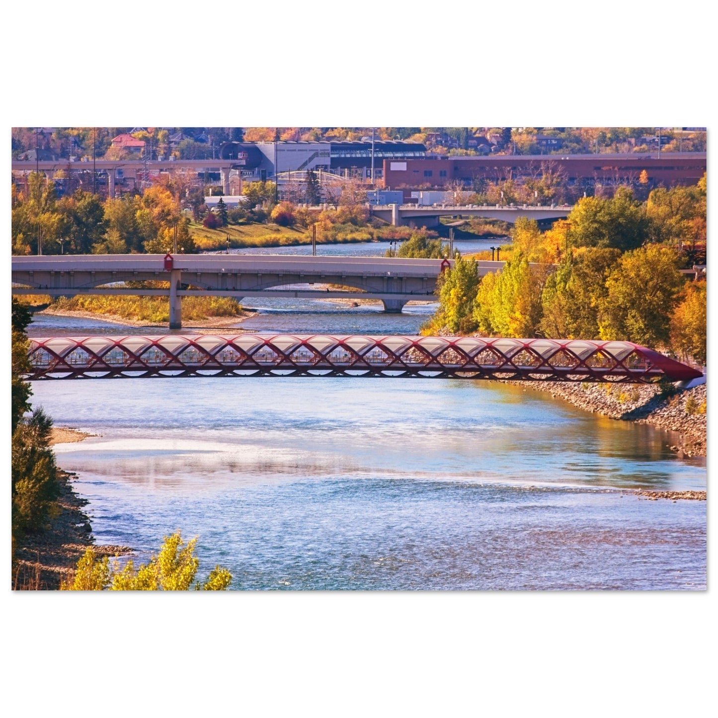 35d76364-f5de-497f-8944-1b79e5d1ac12