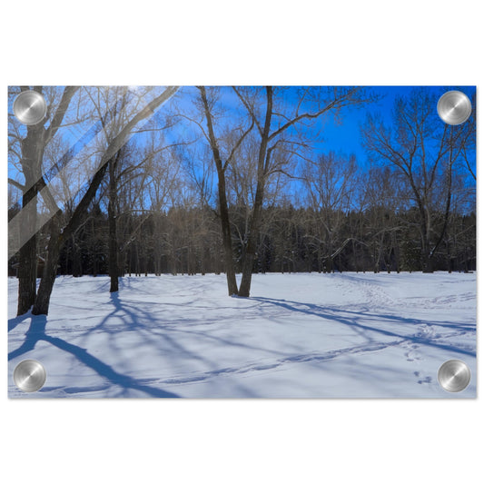 35ecb17b-af4b-4ec8-8eac-1672c25ead22