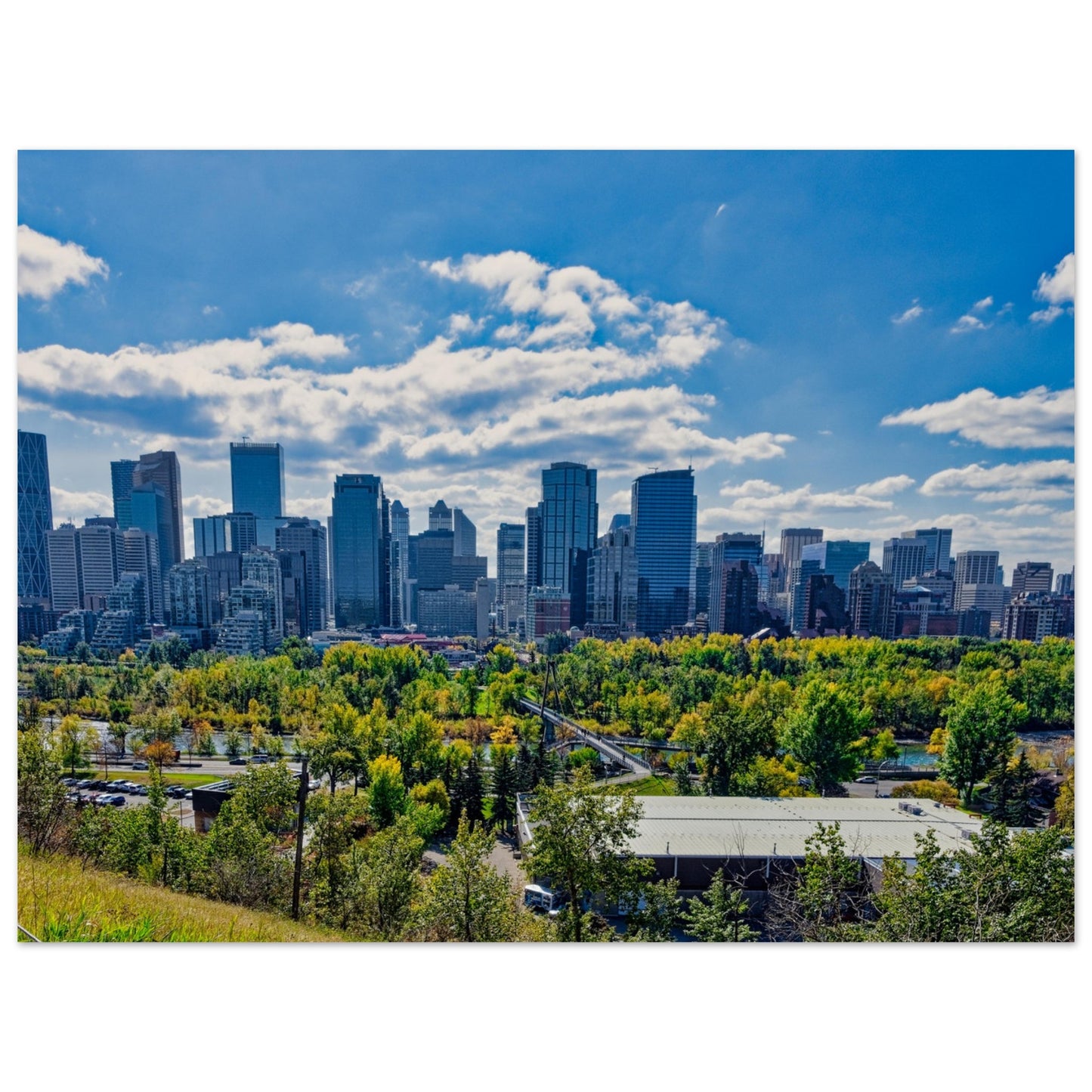 Premium Semi-Glossy Poster Print - Downtown Calgary McHugh Bluff Fall