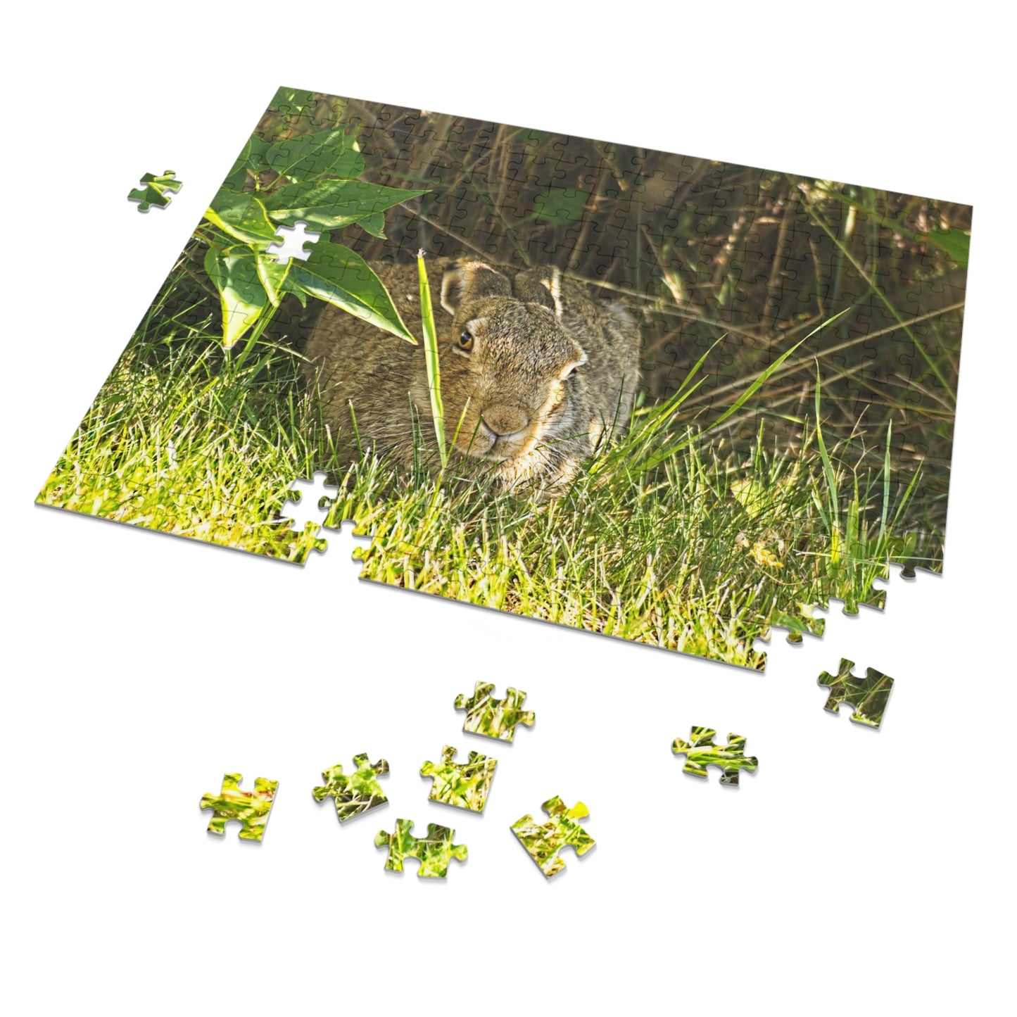 Jigsaw Puzzle (30, 110, 252, 500,1000-Piece) - Rabbit