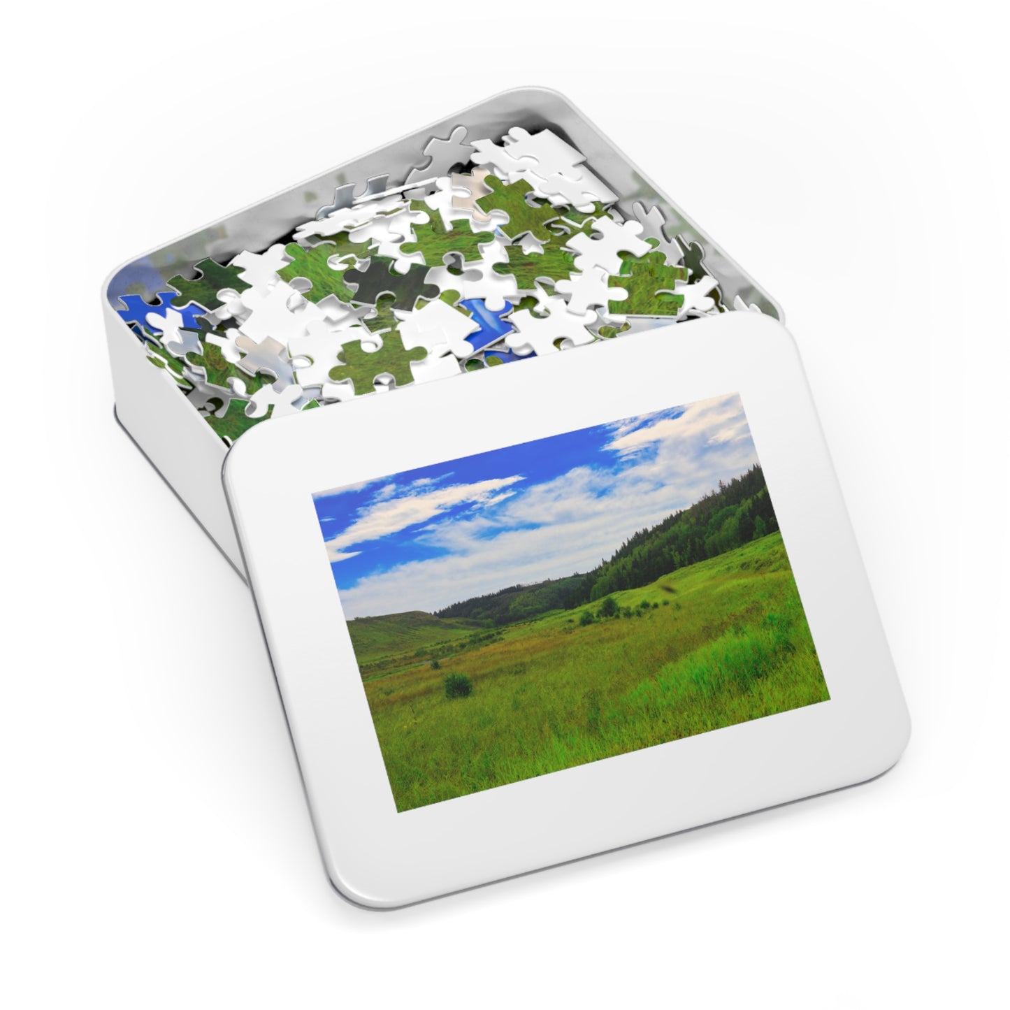 Jigsaw Puzzle - Big Hill Springs Park Entrance