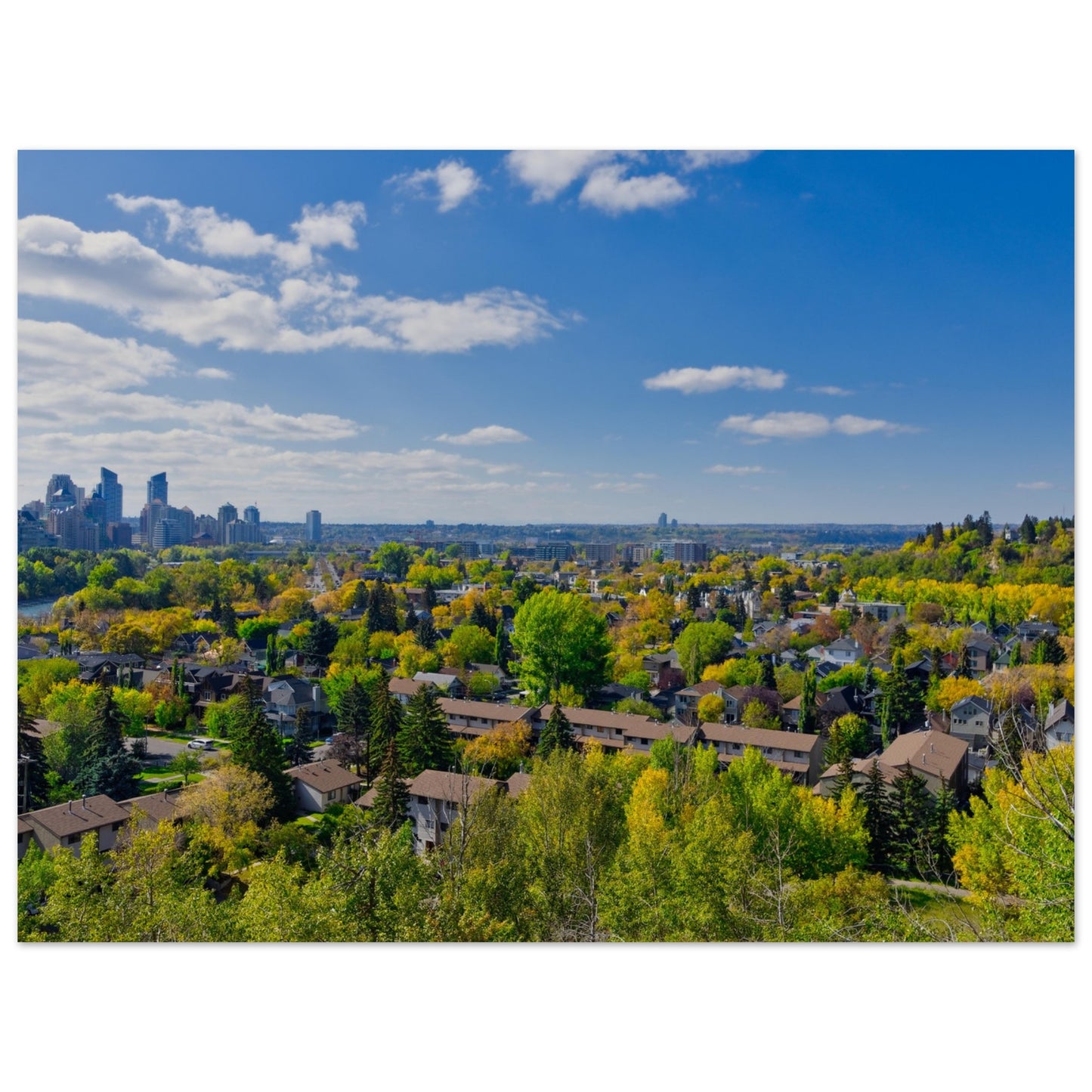 Premium Semi-Glossy Poster Print - McHugh Bluff Fall