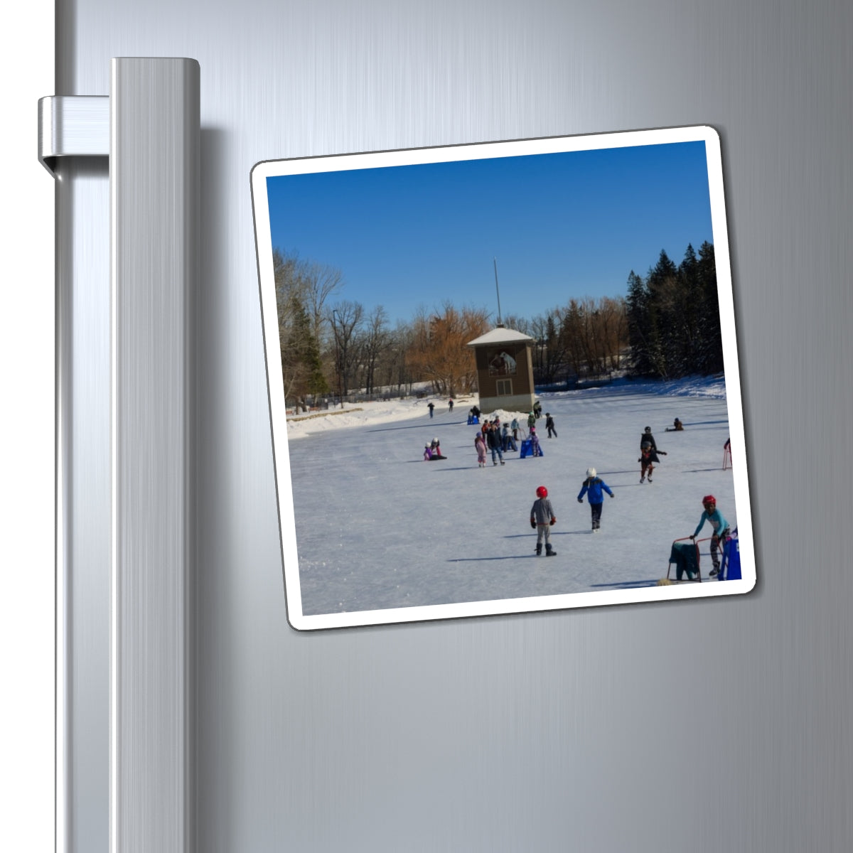 Magnets - Bowness Park Lagoon Winter