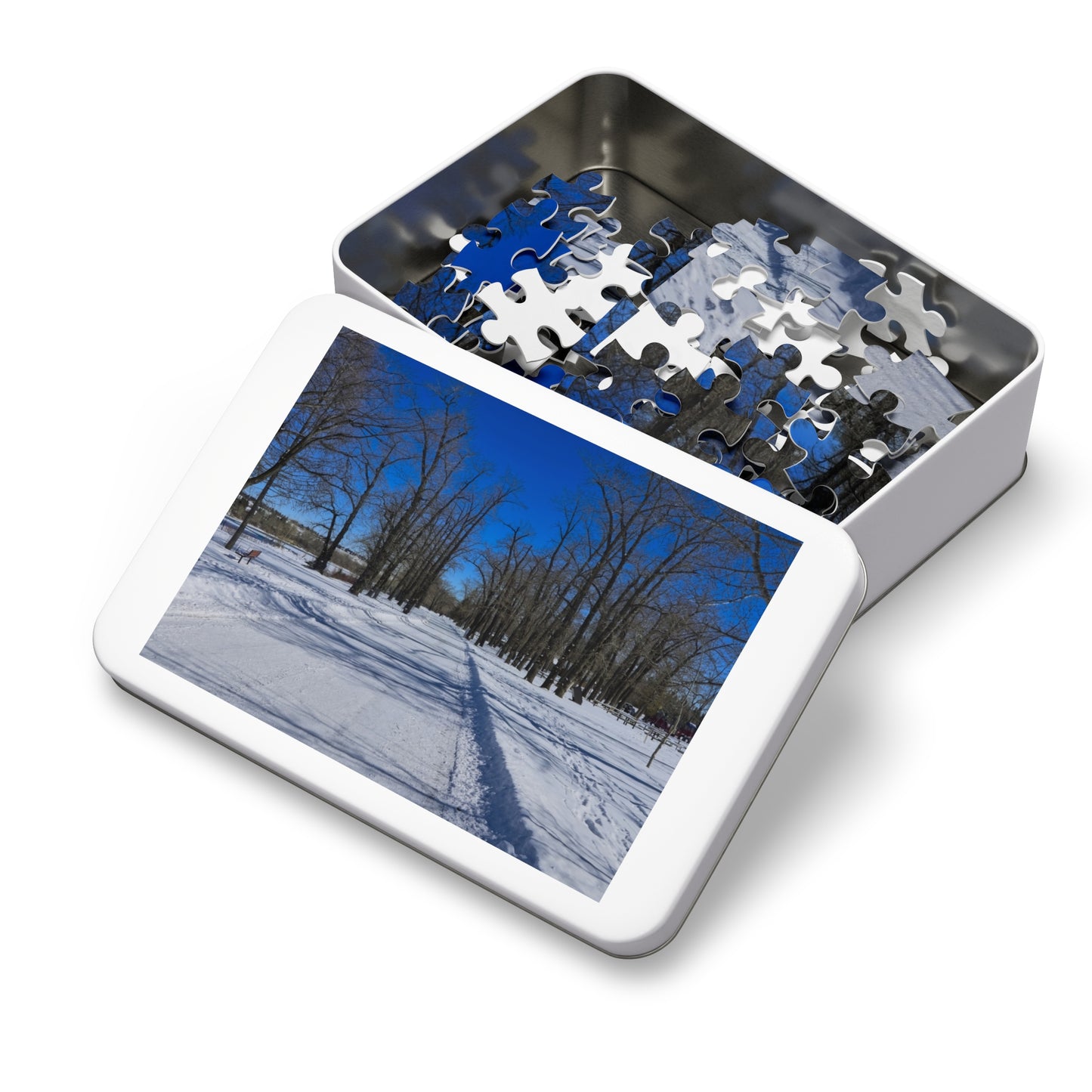 Jigsaw Puzzle (30, 110, 252, 500,1000-Piece) - Bowness Park Pathway Winter