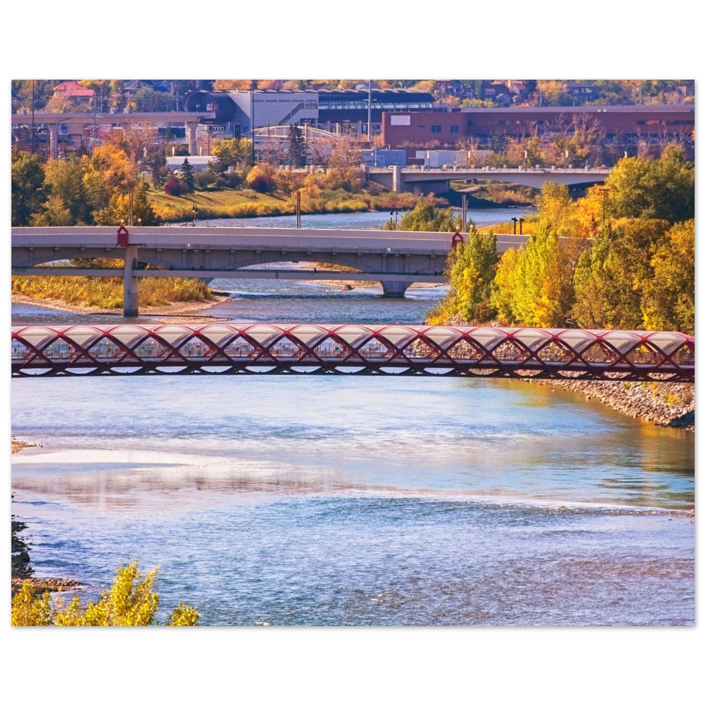 Premium Semi-Glossy Poster Print - Peace Bridge McHugh Bluff