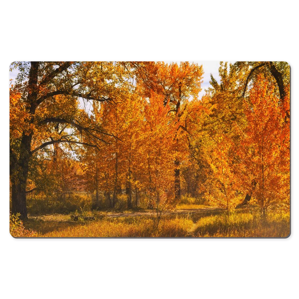 Desk Mats - Sue Higgins Park Fall Colours